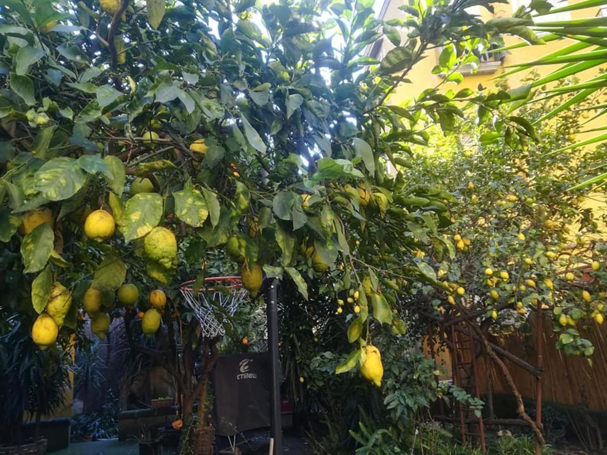 شقة La Limonaia Di Chiaia نابولي المظهر الخارجي الصورة