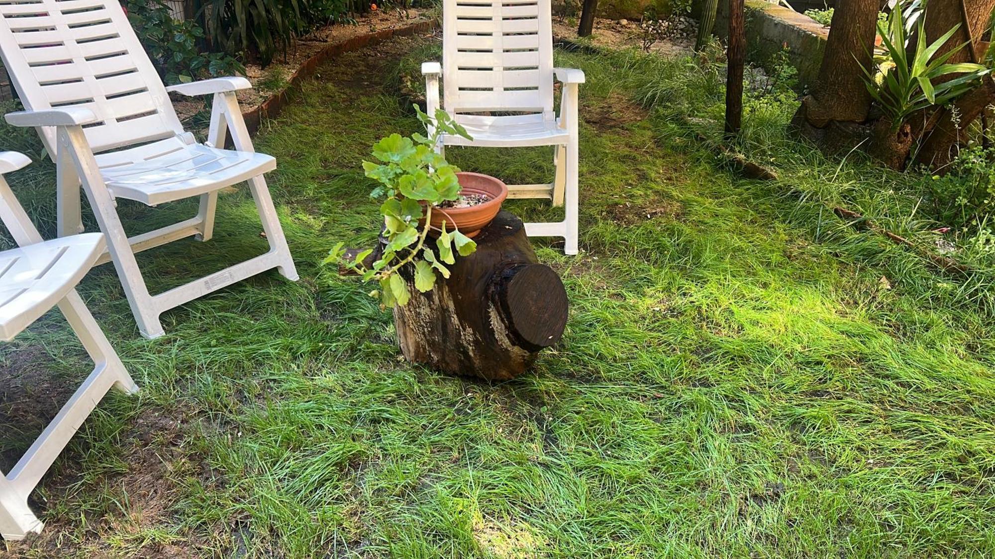 شقة La Limonaia Di Chiaia نابولي المظهر الخارجي الصورة